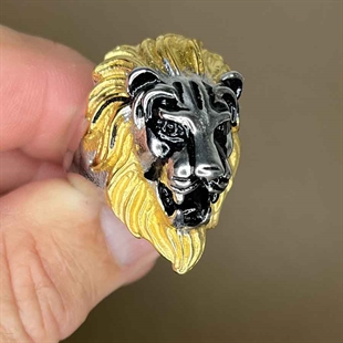 Lion head Stainless steel.